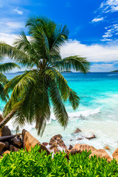 Similar image 7830716