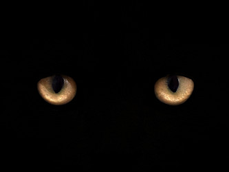 Similar image 7838202