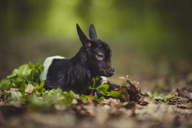 Similar image 7838206