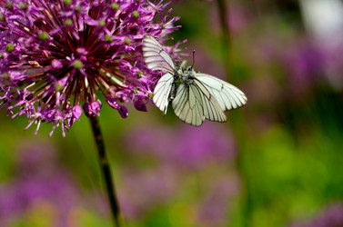 Similar image 7838207