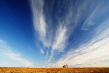 Similar image 7838214