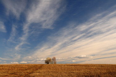 Similar image 7838215