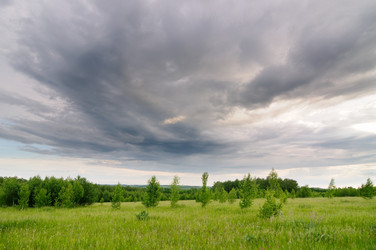 Similar image 7838216