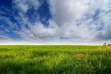 Similar image 7838217