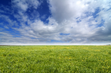 Similar image 7838218