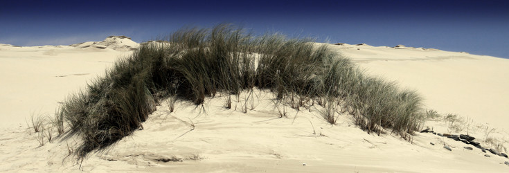 Similar image 7838225