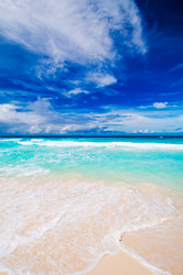 Similar image 7838238