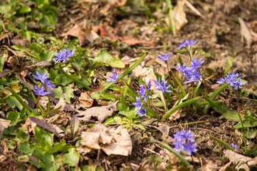 Similar image 7838244