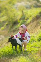 Similar image 7838260