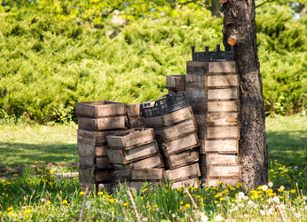 Similar image 7838269