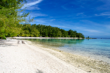 Similar image 7838289