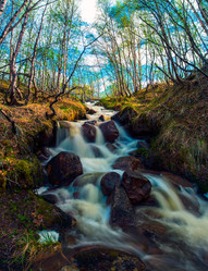 Similar image 7838307