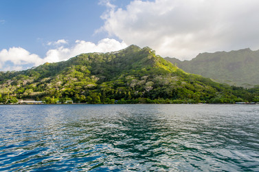 Similar image 7838312