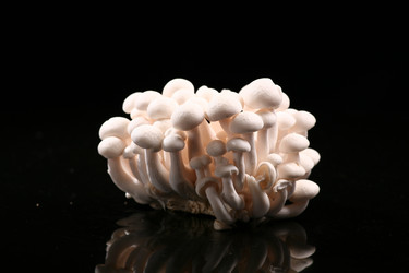 Similar image 7838369