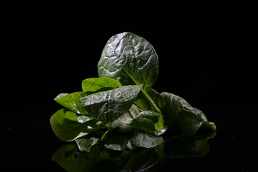 Similar image 7838371