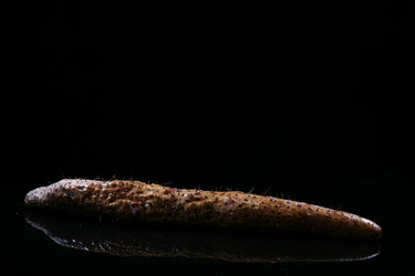 Similar image 7838372