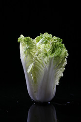 Similar image 7838376