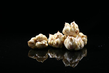 Similar image 7838389