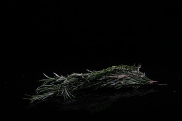 Similar image 7838394