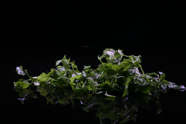 Similar image 7838395