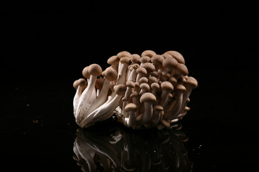 Similar image 7838396