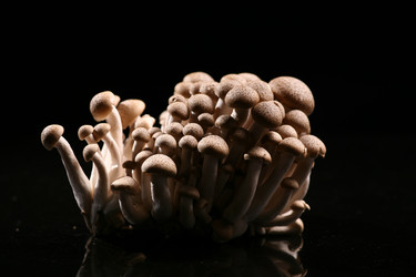 Similar image 7838397