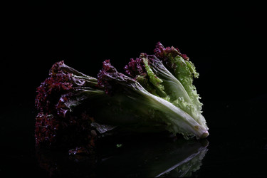 Similar image 7838399