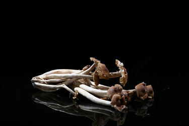 Similar image 7838401