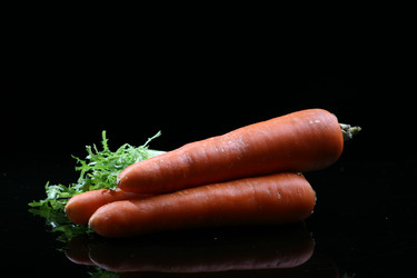 Similar image 7838404