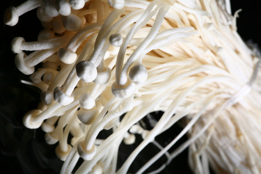 Similar image 7838409