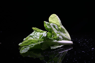 Similar image 7838410