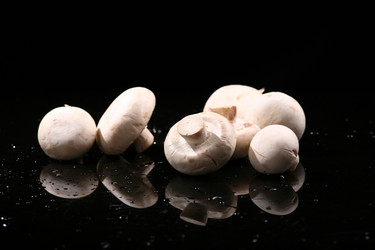 Similar image 7838411