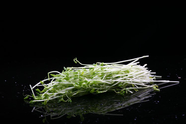 Similar image 7838412