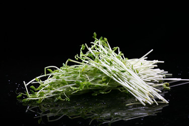 Similar image 7838413