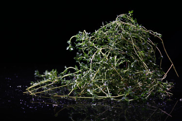 Similar image 7838414