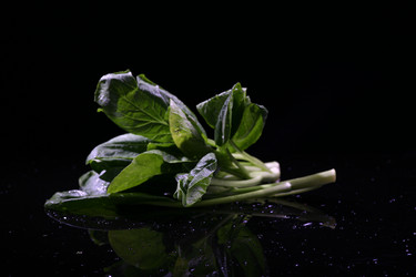 Similar image 7838418