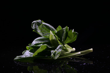 Similar image 7838419