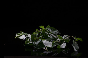 Similar image 7838421