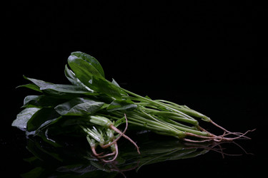 Similar image 7838422