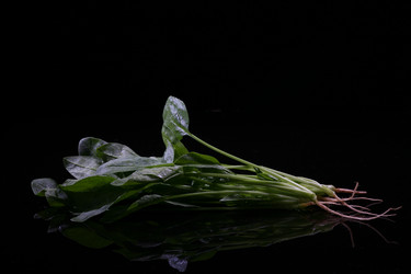 Similar image 7838423