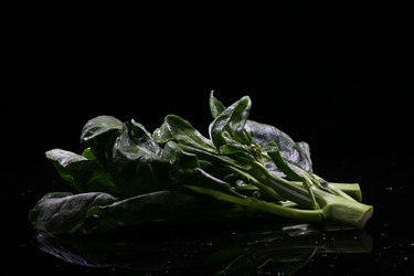 Similar image 7838425