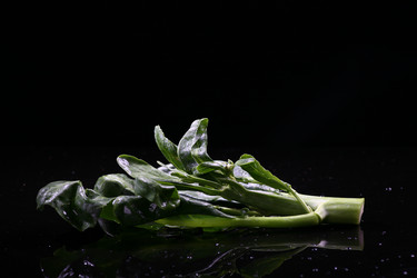 Similar image 7838426