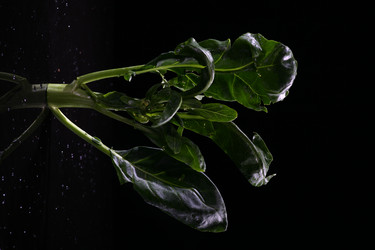 Similar image 7838427