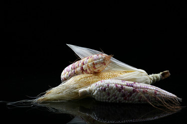 Similar image 7838430