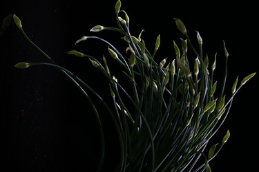 Similar image 7838431