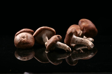 Similar image 7838434