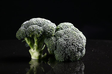 Similar image 7838436