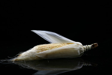 Similar image 7838438