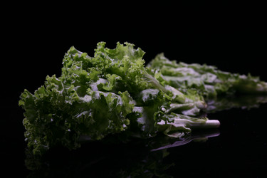 Similar image 7838439