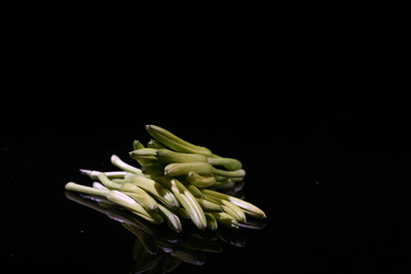 Similar image 7838440